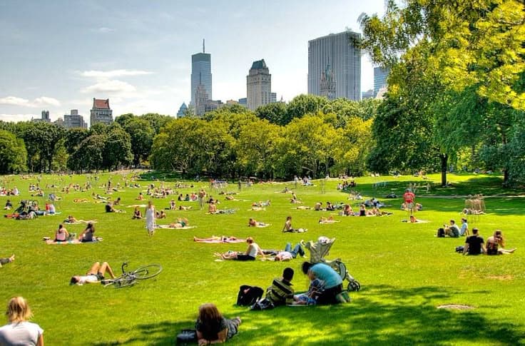 Achieving Net Zero by 2045