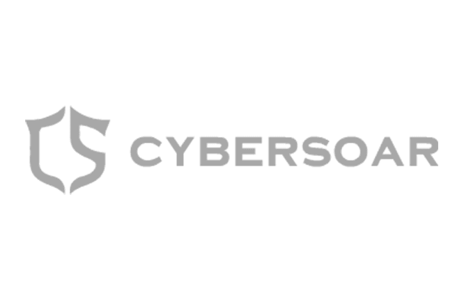 Cyber